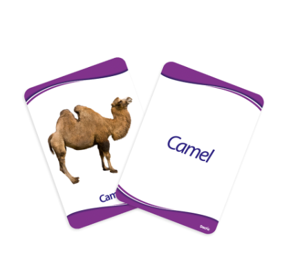 Animales