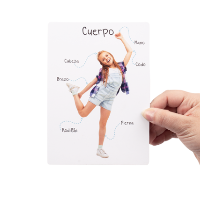 Partes del cuerpo